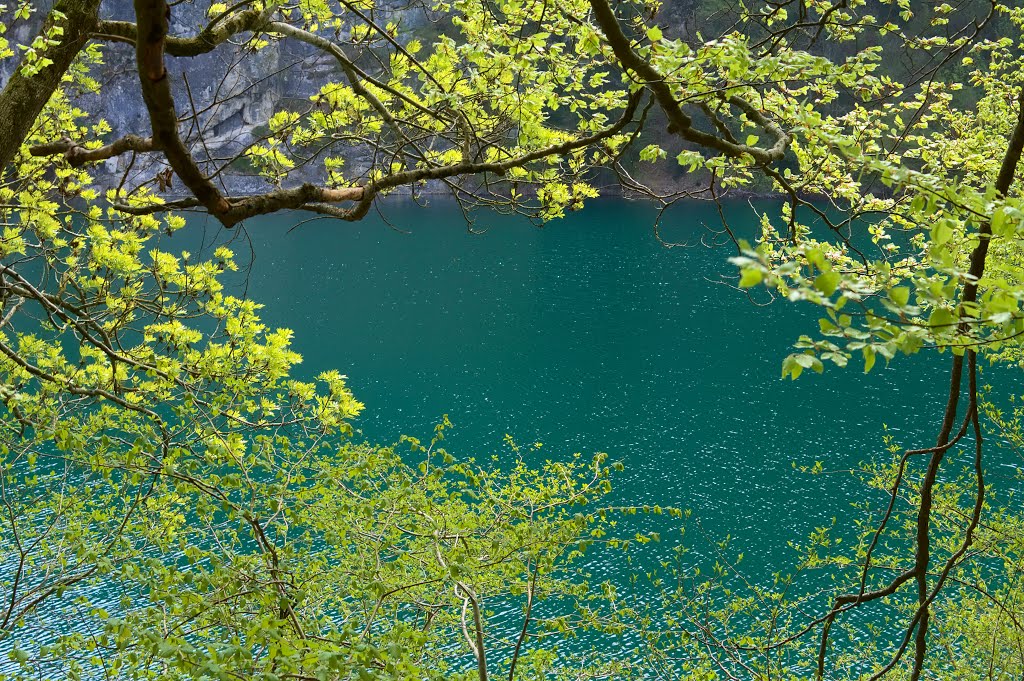 Lago di Lamar in green by Nicola Manini