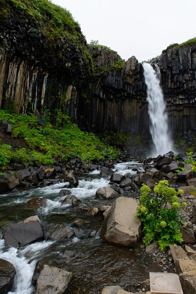 Black Waterfall Svartifoss by Lucien Manshanden