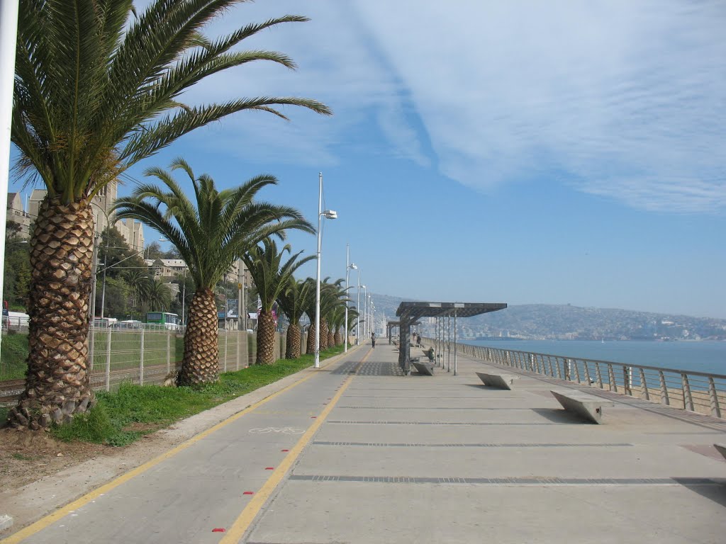 Paseo Wheelright, Valparaiso by Eugenio Aviles