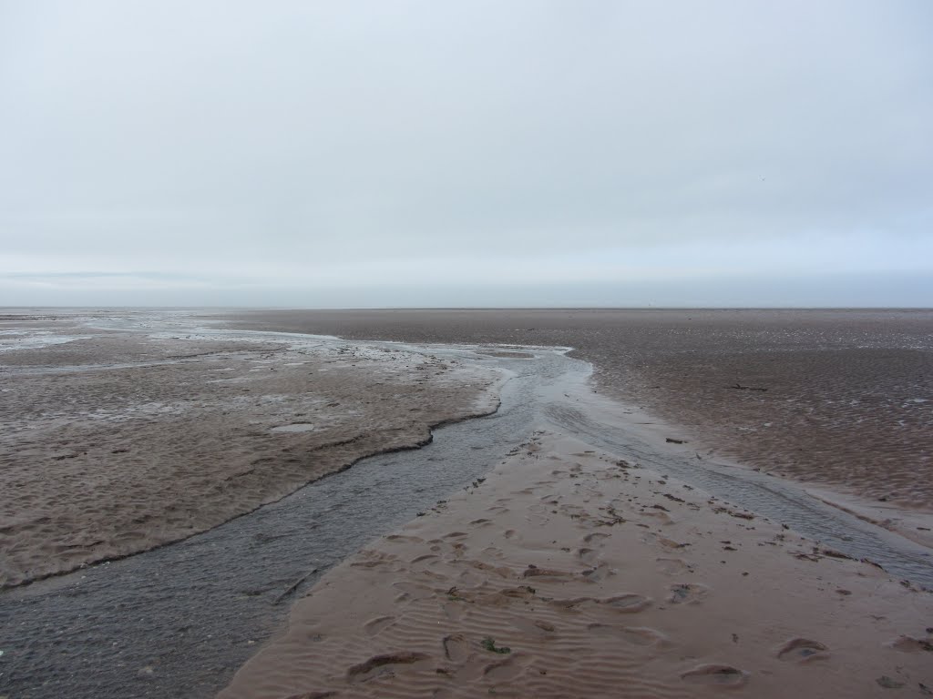 Scots Bay at low tide - August, 2014 by p_m_y