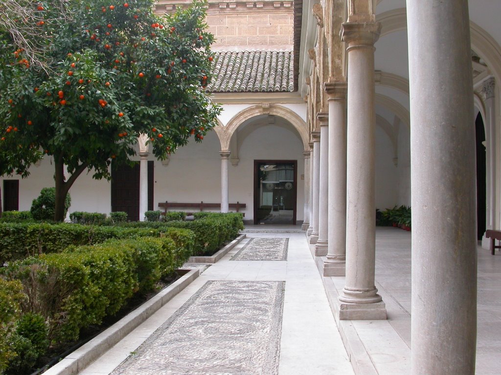 Monasterio de la Cartuja by Lucas Sánchez