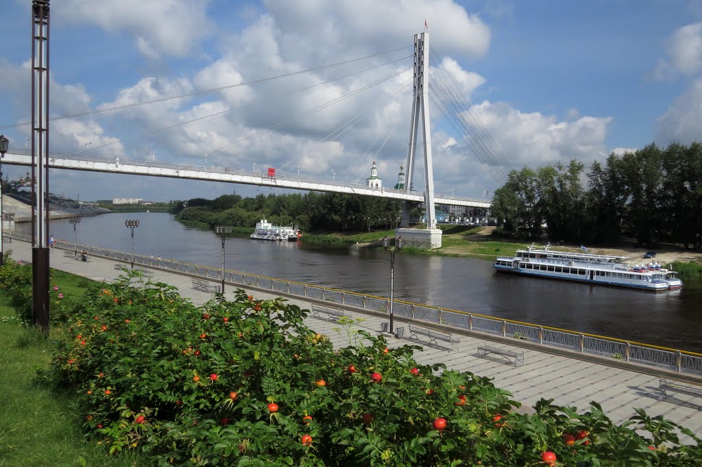 Tsentralnyy okrug, Tyumen', Tyumenskaya oblast', Russia by Mankuta