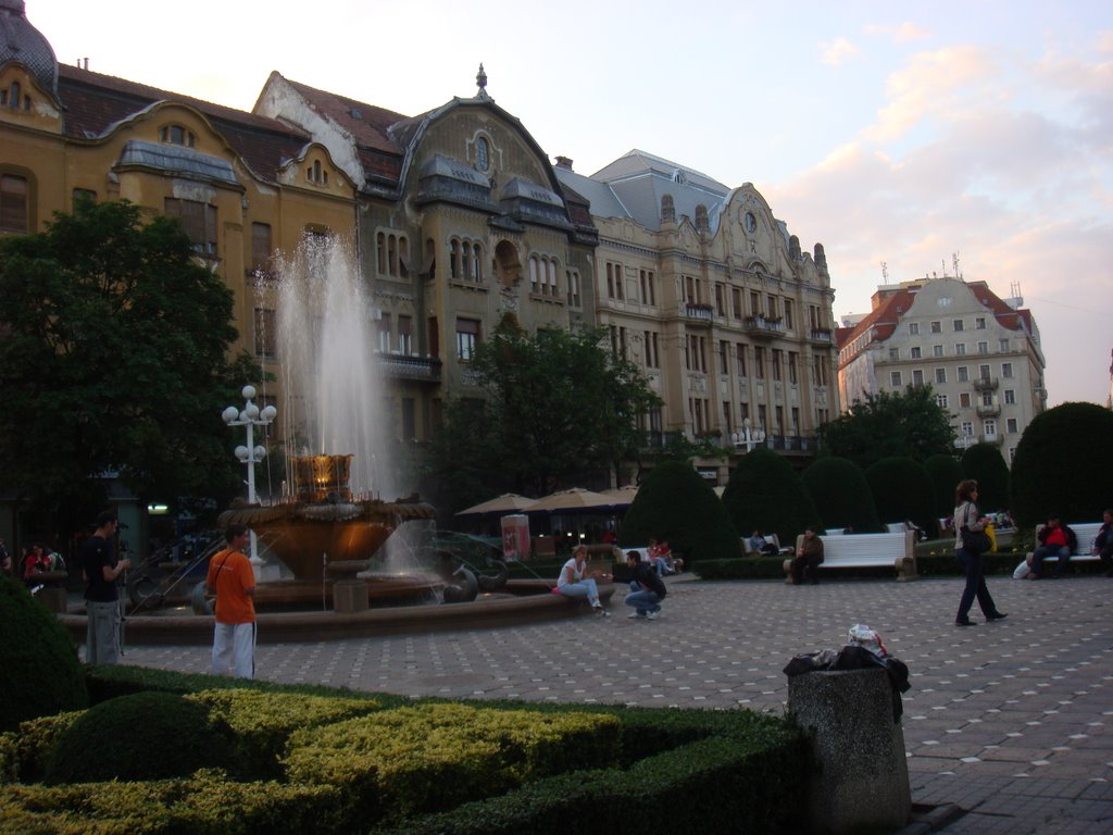 TIMISOARA / CENTRU / diamar.ro by Marian si Diana