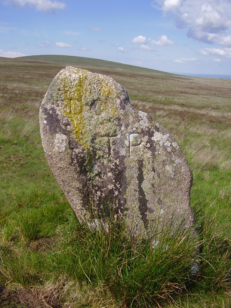 The white moor stone by Alexander Lane