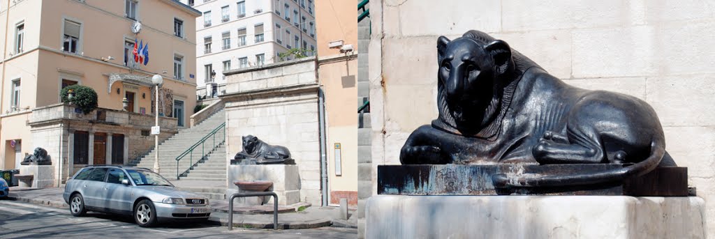 69001 Place Sathonay les lions Cette fontaine comporte deux lions qui gardaient la grille d'entrée de l'ancien jardin des plantes, transféré au parc de la Tête d'Or en 1857. Ces statues sont l'oeuvre de François-Frédéric Lemot, sculpteur lyonnais. by Michel Dutele