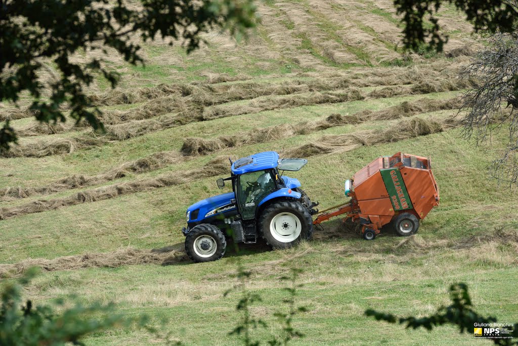 NEW HOLLAND by Giuliano Bianchini