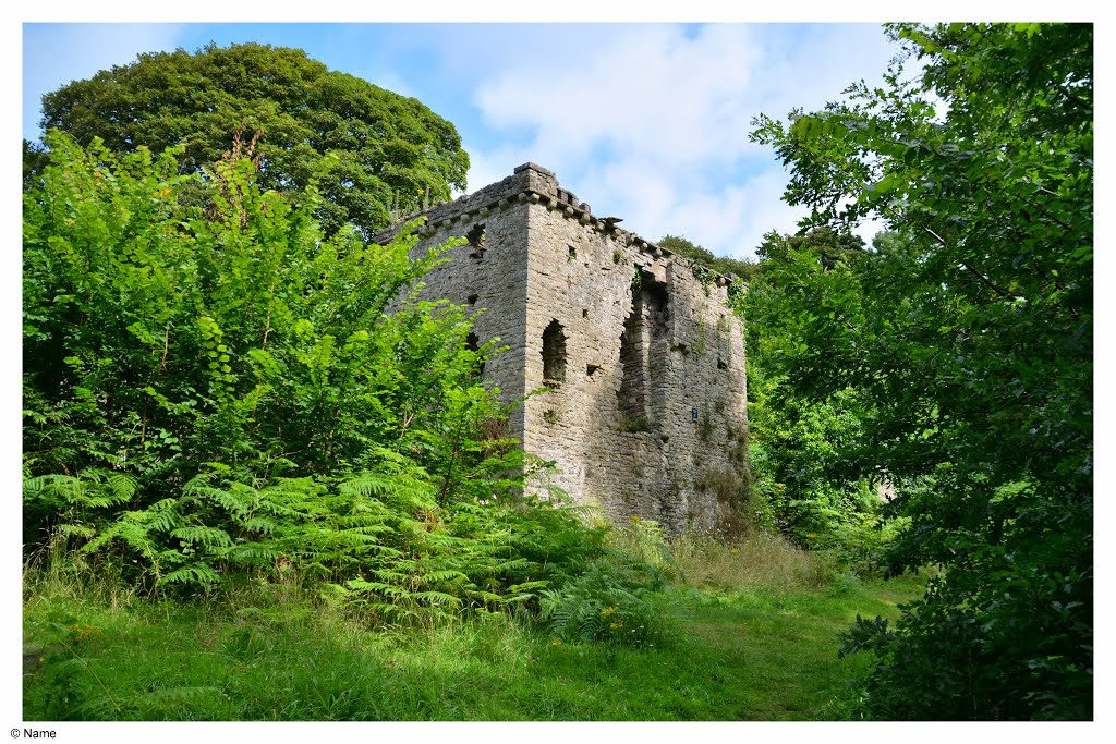 Merthyr Mawr, UK by david williams