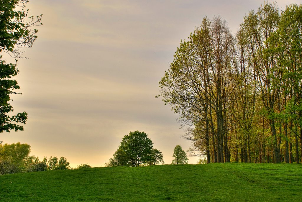 Опушка леса возле Башни Бисмарка. Forest near the Bismarck Tower. by Алексей Лапешкин