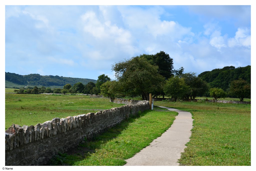 Merthyr Mawr, UK by david williams