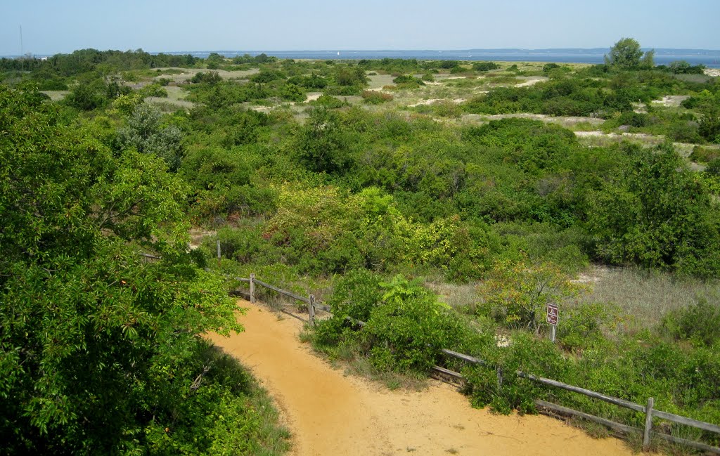 Sandy Hook, NJ by psh137