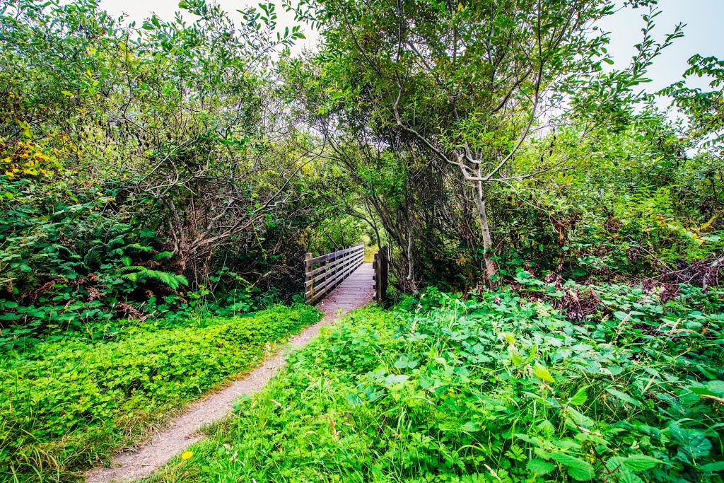 California Coastal Trail_DSC9028 by Larry Doc Butcher