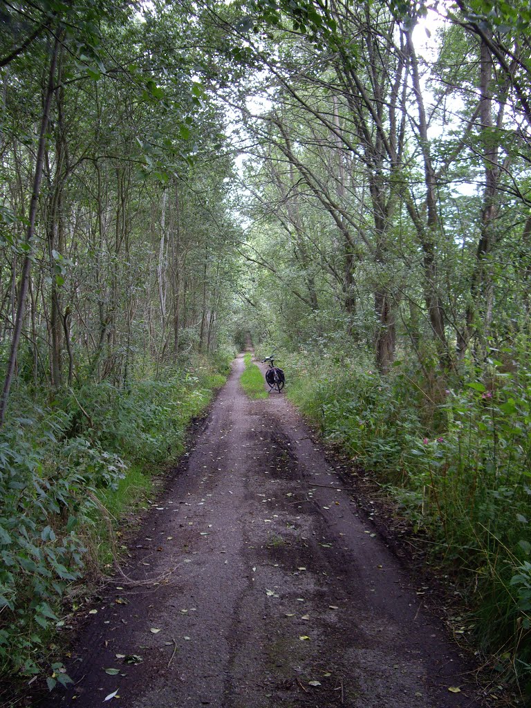 Radtour auf ehemaliger Grenzsicherungsstraße by Bernhard Hiller