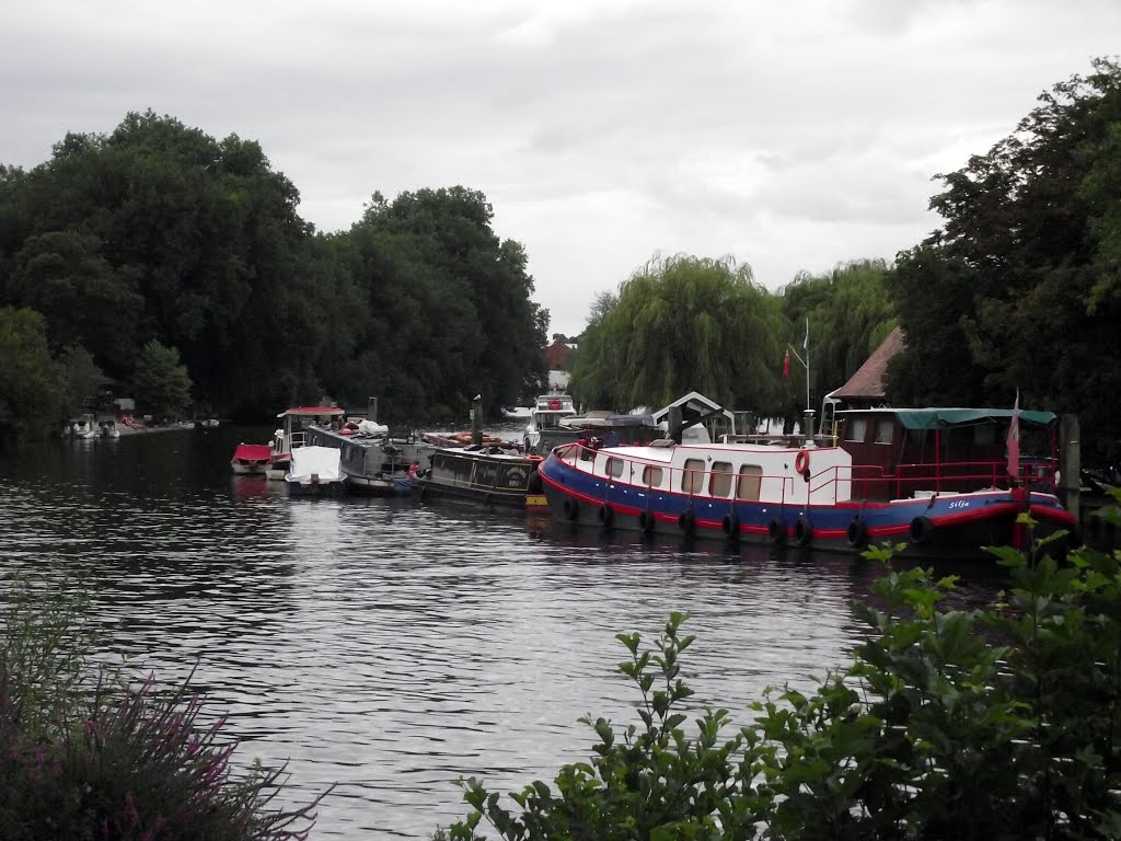 Kingston on Thames by tonywatson