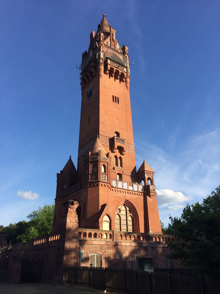 Grunewald, Berlin, Germany by Alex Schmidt