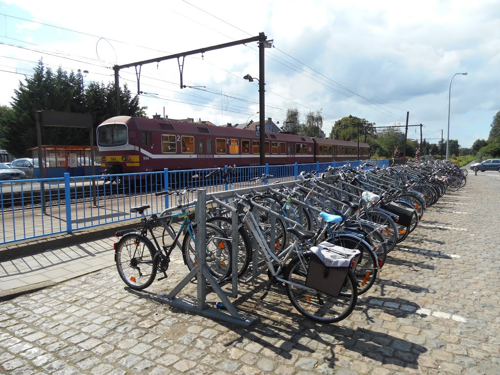 België, Haacht - peron station, en ongeving - Augustus 2014 by Walter vervloet