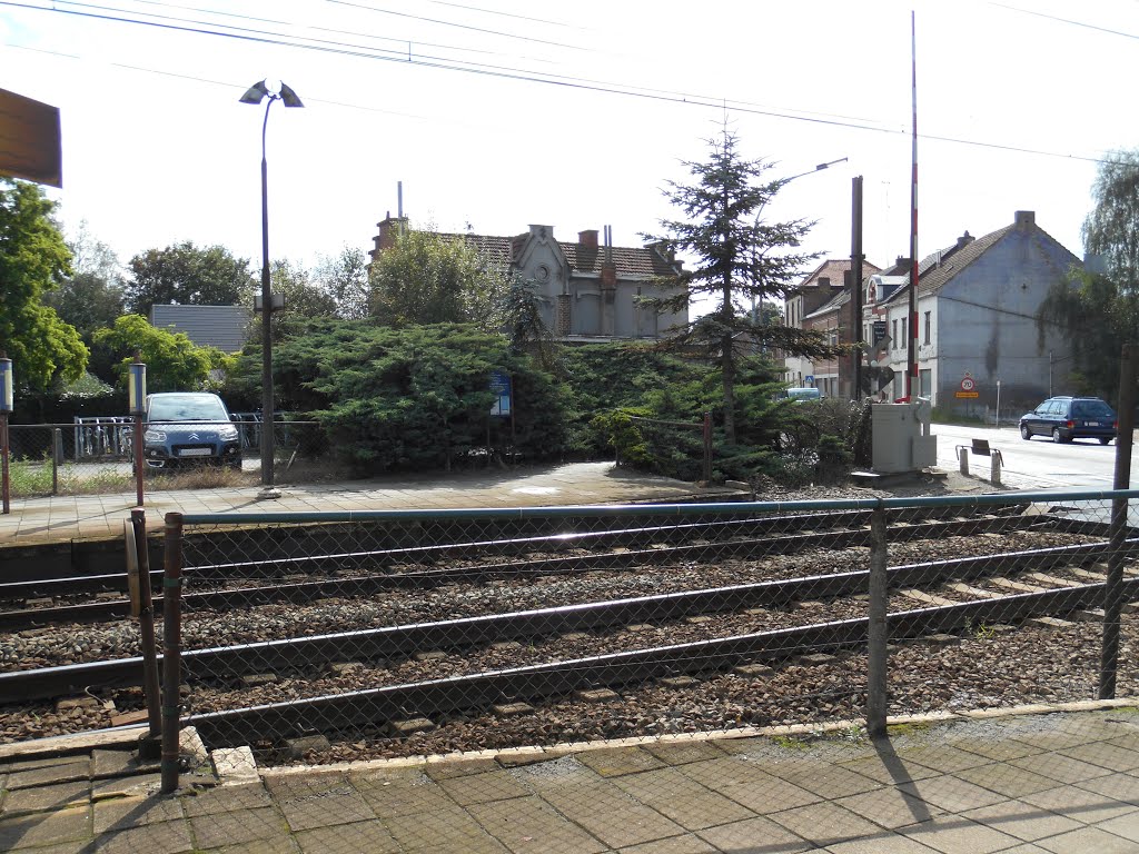 België, Haacht - oude station - Augustus 2014 by Walter vervloet