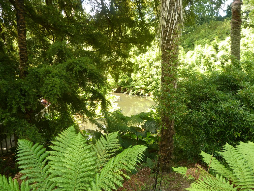 Heligan Gardens by Dave Pashby