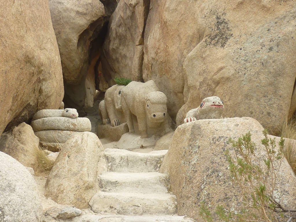 Critters in the rock garden by Bill Cook