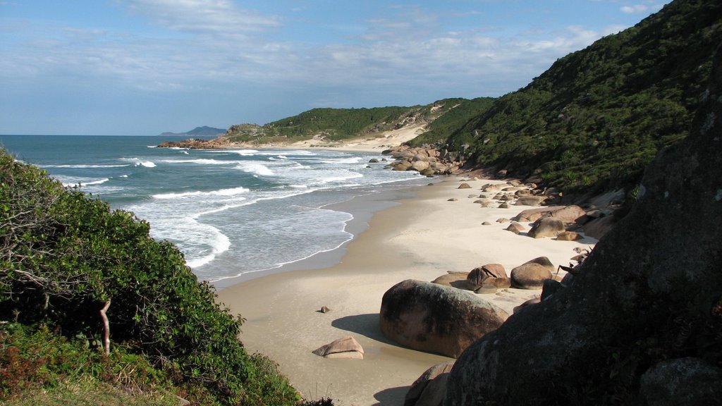 Prainha da Guarda do Embaú ( panorâmica ) by Hugo Dodl