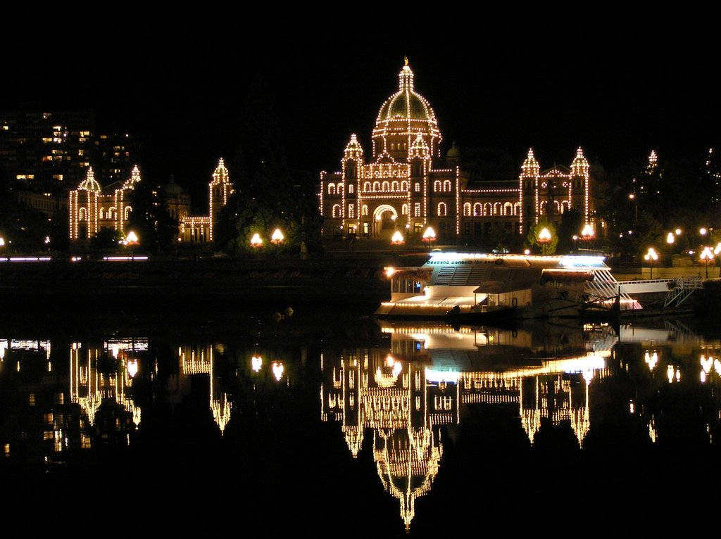 Parliament Building at night from pier by Boris Gjenero