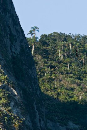 Itacoa by Mauricio Drunn