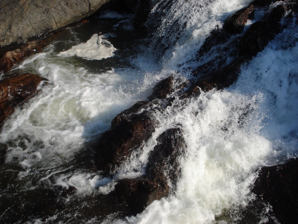 Looking Down Chippewa Falls by Billy Wilson