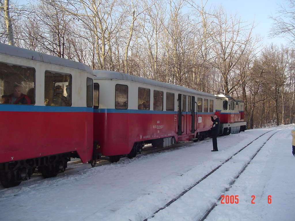 Train des enfants by Francois Esnault