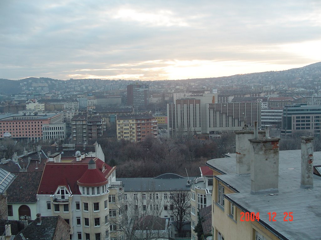 Vue arriere du Varhegy sur Buda by Francois Esnault