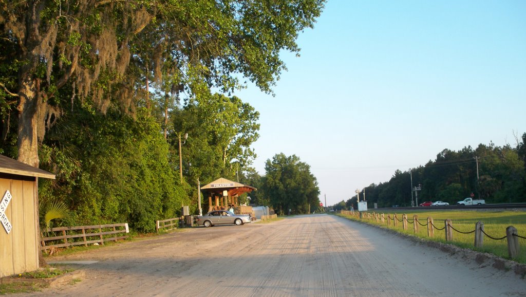 Folkston Funnel - Train watching platform looking south by georgiatraveler