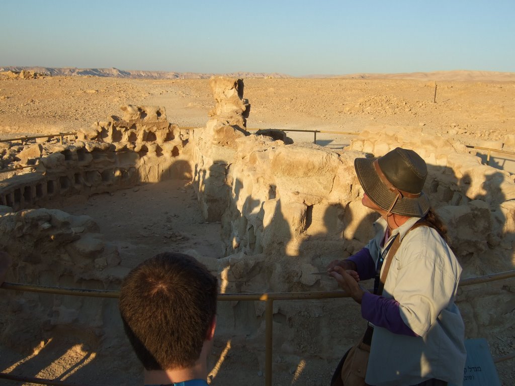 Pigeon place atop Masada by SKPhoton