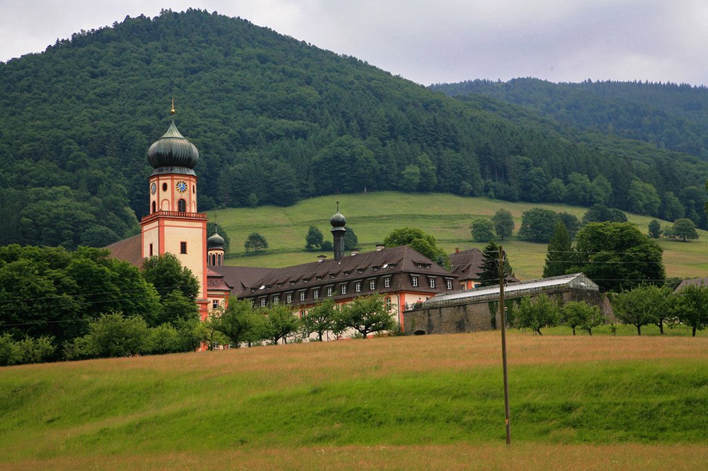 Muenstertal / Schwarzwald by bulach