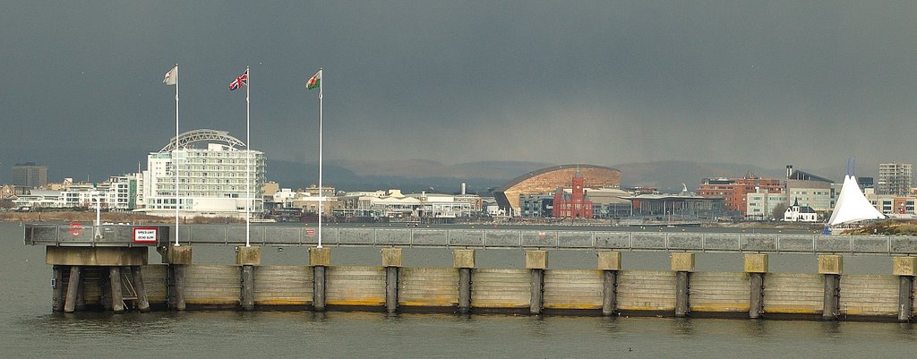 Cardiff bay from Barrage by Richard Gordon Smith