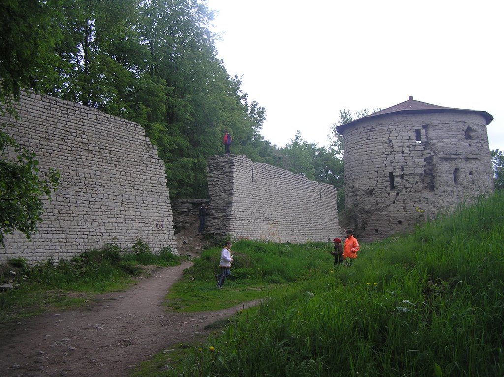 Pskov, Pskov Oblast, Russia by lubovTimofeeva