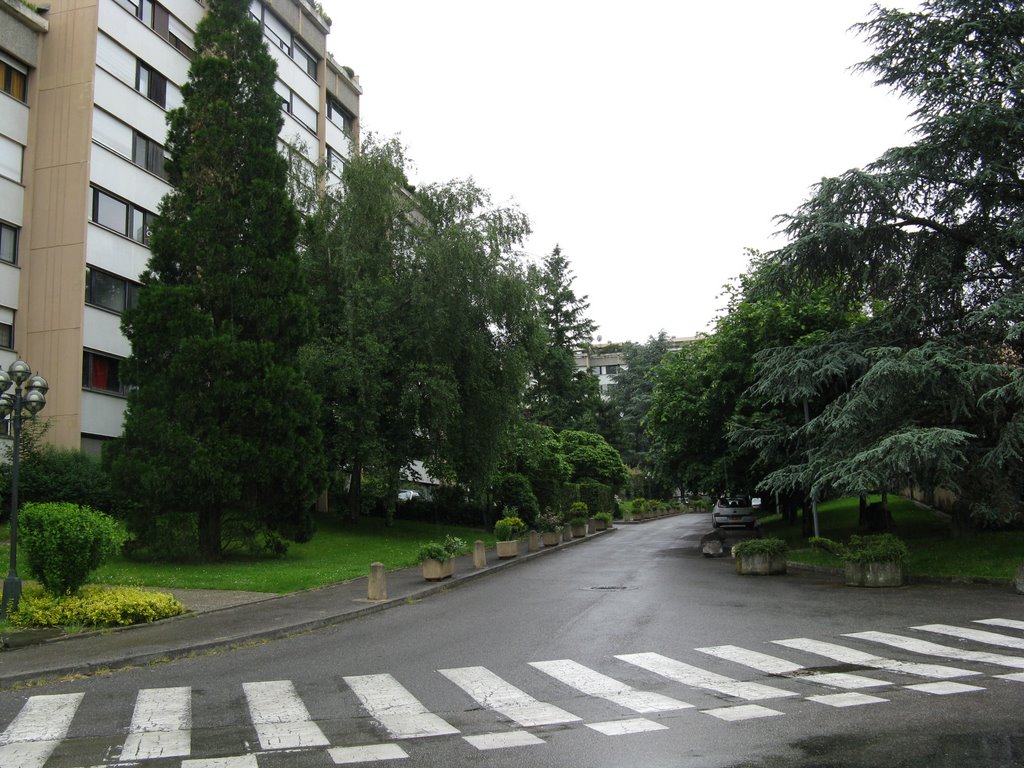 Avenue de Sardaigne by Paul Myers