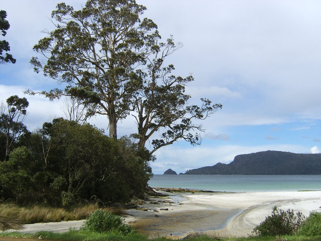 Two Tree Point in Adventure Bay by tobermorymull