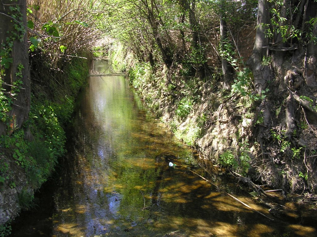 Petite ruisseau sud de Palau by Bea Chr