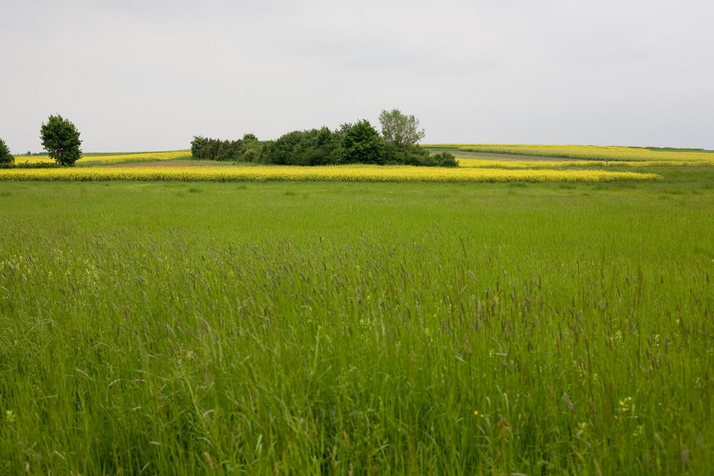 Beautiful Schwabian countryside near Nufringen, Germany by wjaz