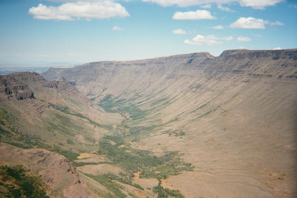 Keiger Gorge, Steens Mt, Oregon by Bruce Amsbary