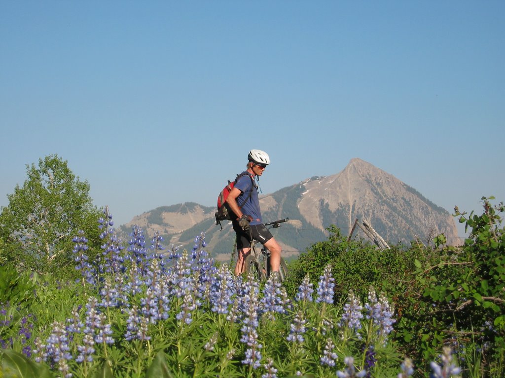 Mountain Biker with Crested Butte Mountain in the distance by rob@gunnisoncrestedb…