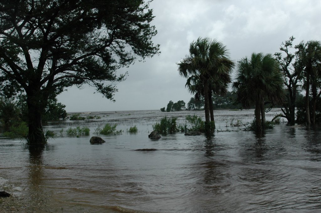 Flooded Shired Island, Fl during Hurricane Dennis 7/10/2005 by Leslie Sapp