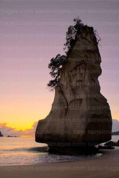 Cathedral Cove 11 by santoshdsouza