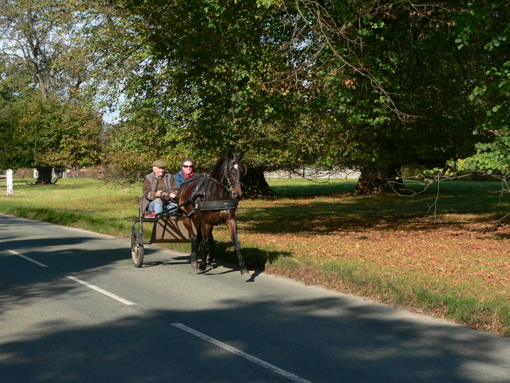 Little Gaddesden, Hertfordshire by Frank Warner