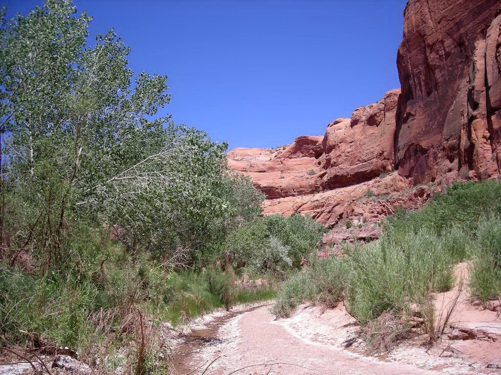 Horse Canyon at Escalante by eliot_garvin