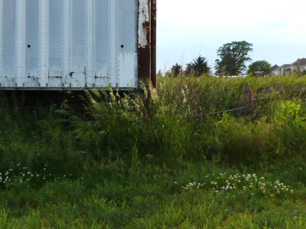 Old hay trailer by necpolo