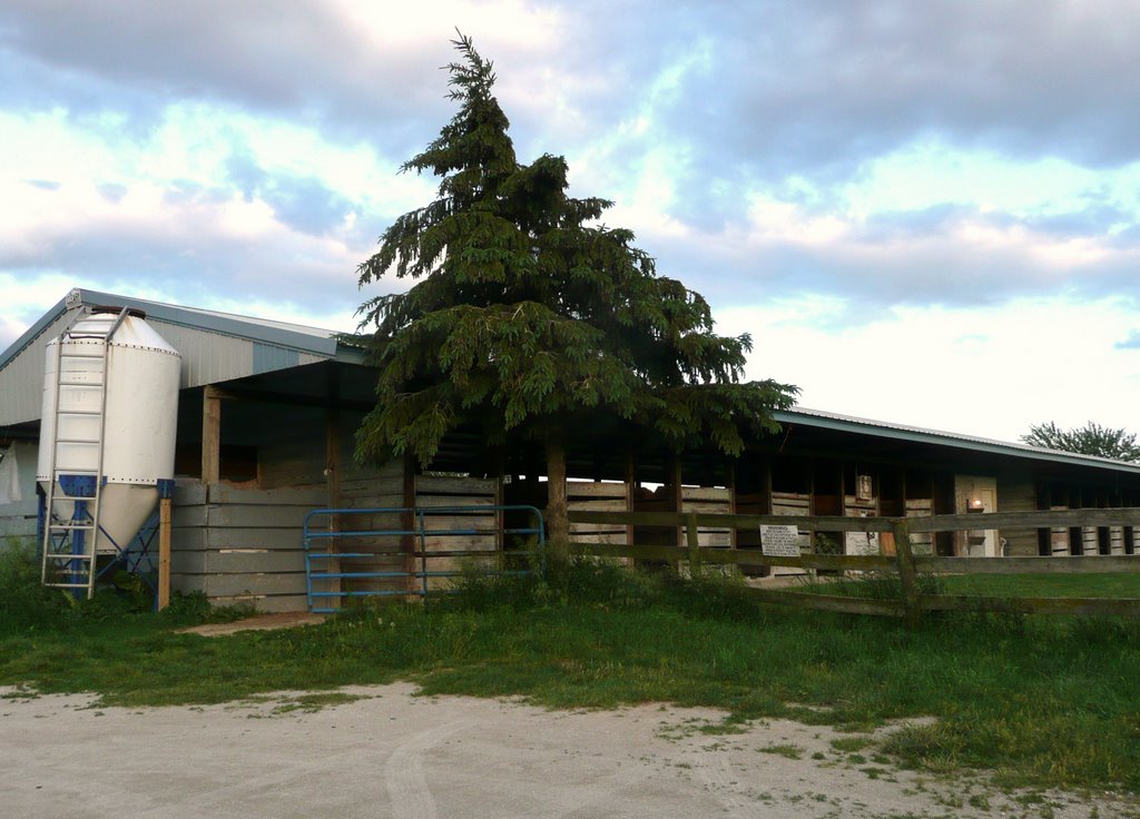 The lowerbarn by necpolo