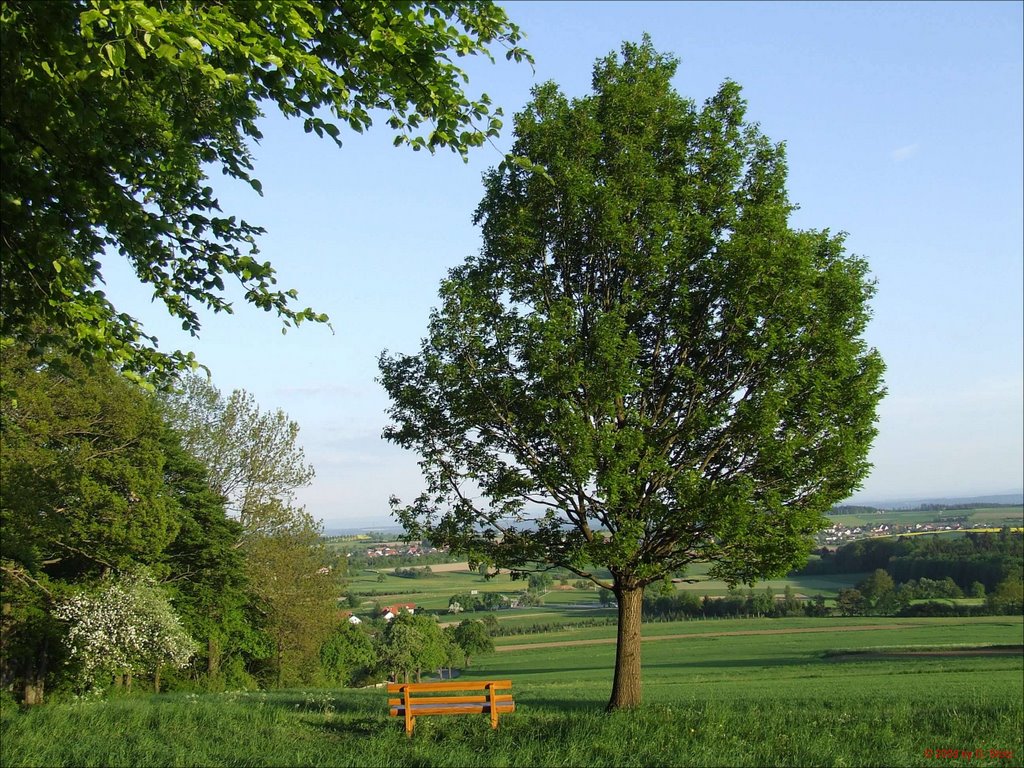 Bank am Katzenbuckel by G.Stotz