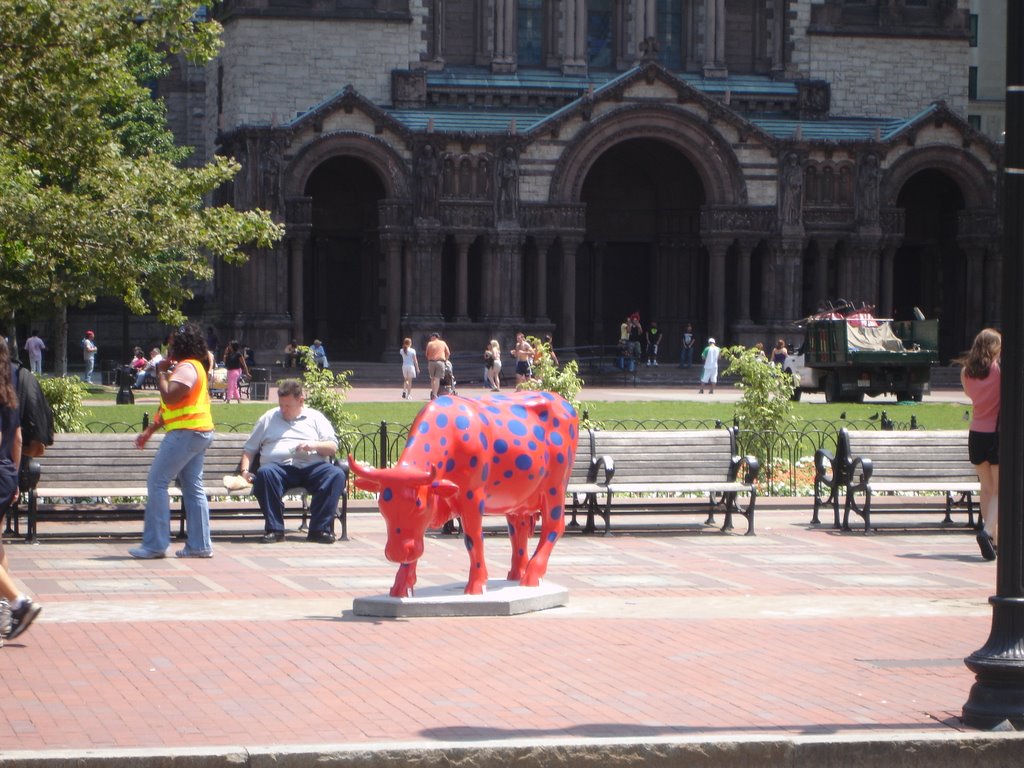 Boston's cows 2006 at Copley Square by ikur