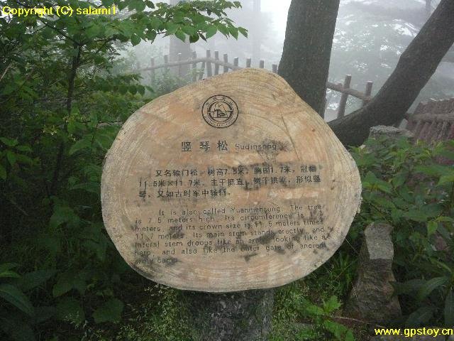 Huangshan, Anhui, China by mataoan