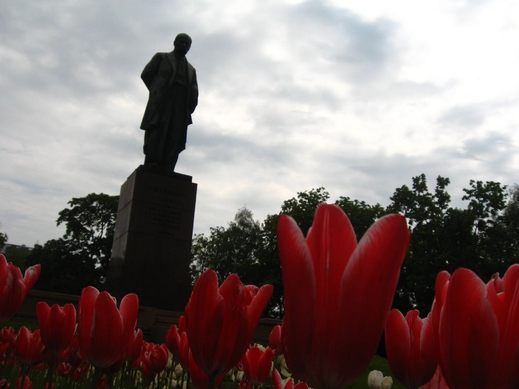 Shevchenkivs'kyi district, Kiev, Ukraine by Sergey Kharchenko