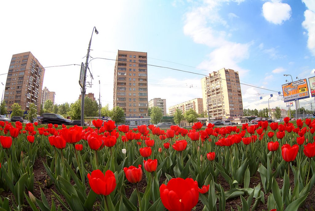 Pokrovskoye-Streshnevo District, Moscow, Russia by Oles-P